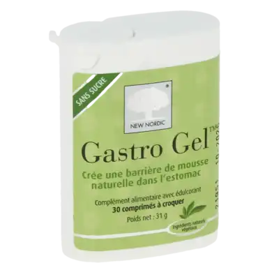 Gastro Gel Comprimés Remontées Gastriques Fl/30 à Le havre