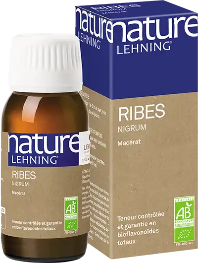 Lehning Nature Ribes Nigrum Ab Macérat Glycériné Fl Compte Gouttes/60ml