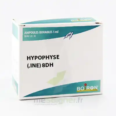 Boiron Hypophysine 8dh Ampoules 1ml B/30 à SENNECEY-LÈS-DIJON