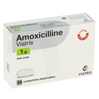 AMOXICILLINE VIATRIS 1 g, comprimé dispersible