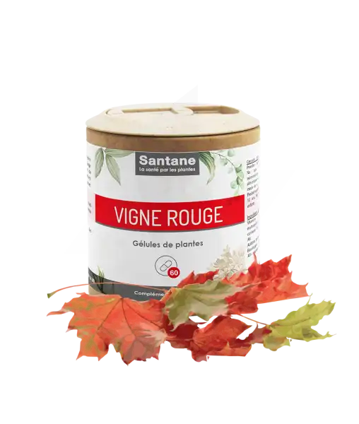 Santane Vigne Rouge Gélules De Poudre De Plantes 270mg B/60