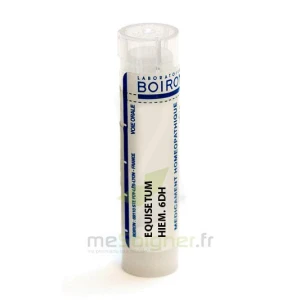 Boiron Equisetum Hiemale 6dh Granules Tube De 4g