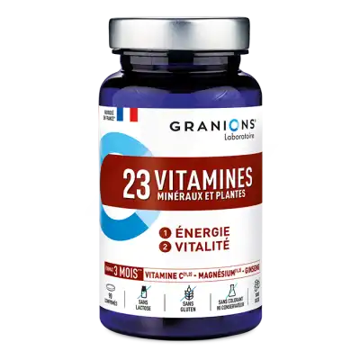 Granions 23 Vitamines Minéraux Et Plantes Comprimés B/90 à Le havre