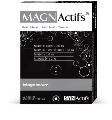 Synactifs Magnactifs Gélules B/60 à Saint-Gervais-la-Forêt