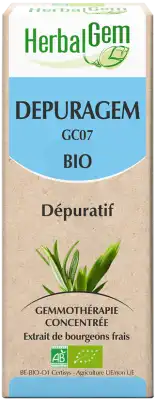 Herbalgem Depuragem Bio 30 Ml à Courbevoie