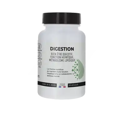 Prophar Digestion Gélules 90