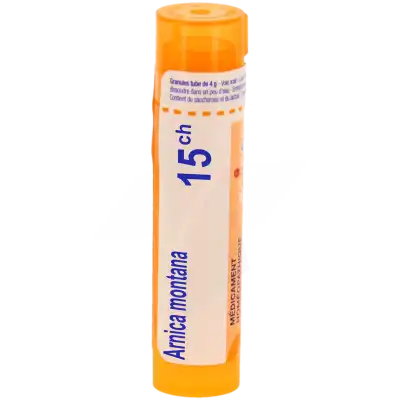 Arnica Montana 15ch Granules à TOULENNE
