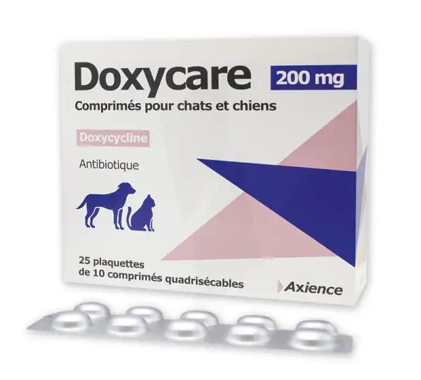 Doxycare 200 Mg Comprimes Pour Chats Et Chiens, Comprimé