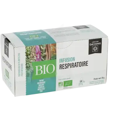 Dayang Respiratoire Bio 20 Infusettes à AUDENGE