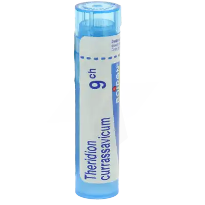 Boiron Theridion Currassavicum 9ch Granules Tube De 4g à Cherbourg-en-Cotentin