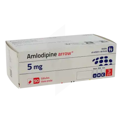 Amlodipine Arrow 5 Mg, Gélule à Casteljaloux
