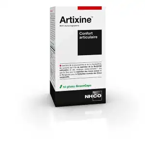 Nhco Nutrition Aminoscience Artixine Gélules Souplesse Confort Articulaire B/60 à Mérignac