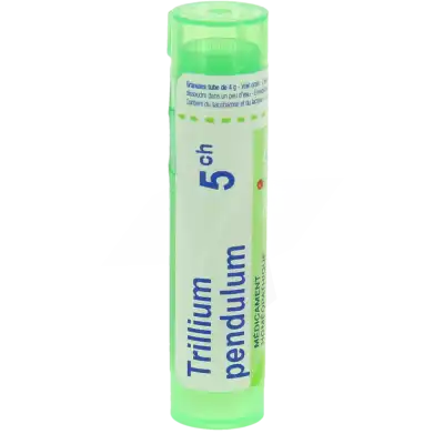 Boiron Trillium Pendulum 5ch Granules Tube De 4g à La-Valette-du-Var