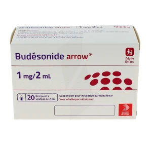 Budesonide Arrow 1 Mg/2 Ml, Suspension Pour Inhalation Par Nébuliseur En Récipient Unidose