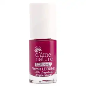 Acheter D'AME NATURE ECRINAL Vernis soin le prune Fl/5ml à POITIERS