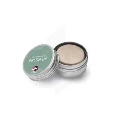 Fresh Up Déodorant Solide B/25g à PODENSAC