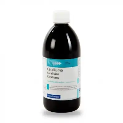 Eps Phytostandard Caralluma Extrait Fluide Fl/500ml à PINS-JUSTARET