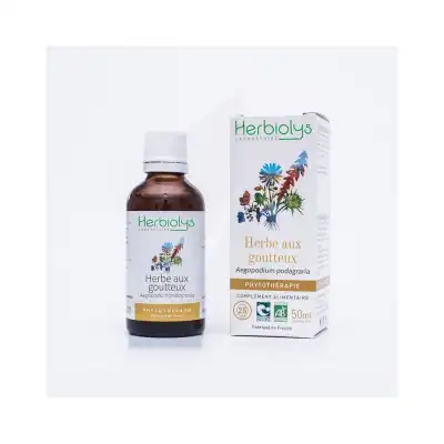 Herbiolys Phyto - Herbe Aux Goutteux 50ml Bio à RUMILLY