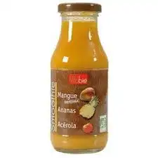 Vitabio Smoothies Boisson Mangue Ananas Acérola Bouteille/25cl P.e.t