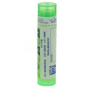 Boiron Monilia Albicans 5ch Granules Tube De 4g
