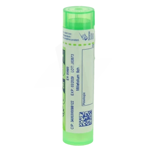 Boiron Millefolium 5ch Granules Tube De 4g