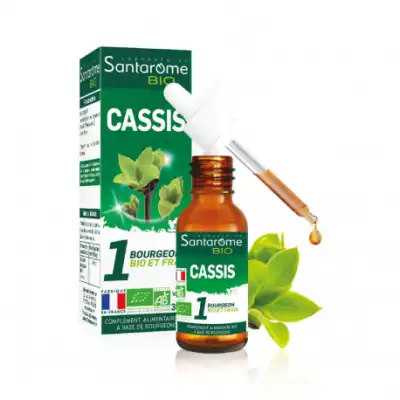 Santarome Bourgeons Cassis Solution Buvable Fl/30ml à Castres