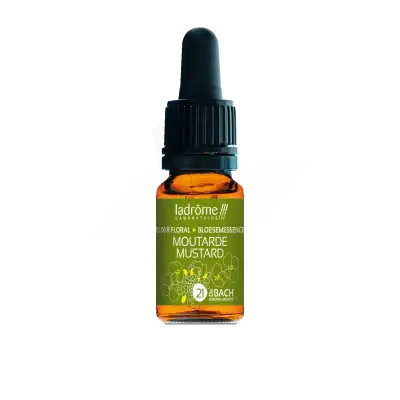 Ladrôme Elixir Floral 21 Moutarde 10ml à BOURG-SAINT-MAURICE