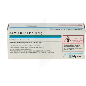 Zamudol Lp 100 Mg, Gélule à Libération Prolongée