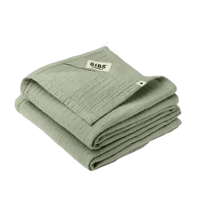 Langes 70x70cm Sage Pack/2