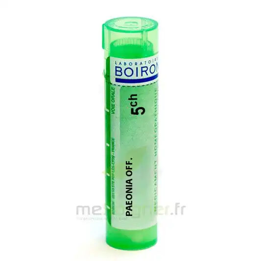 Boiron Paeonia Officinalis 5ch Granules Tube De 4g