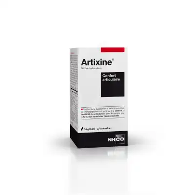 Nhco Nutrition Artixine® 56 Gélules Gélules B/56 à Annecy