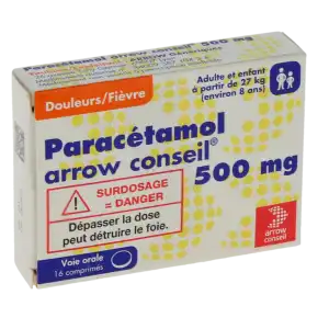 Paracetamol Arrow Conseil 500 Mg, Comprimé à Ferney-Voltaire