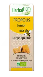 Herbalgem Propolis Large Spectre Solution Buvable Bio Junior Fl Cpte-gttes/15ml à OULLINS
