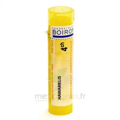 Boiron Hamamelis 4ch Granules Tube De 4g à Sassenage