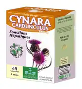 Phytoceutic Cynara Cardunculus Caps B/60 à Nice