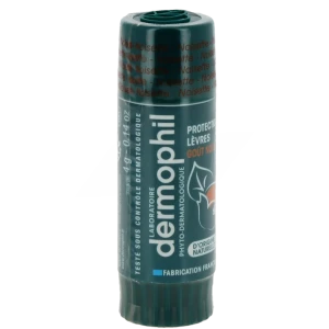 Dermophil Indien Stick Protection LÈvres Noisette 4g