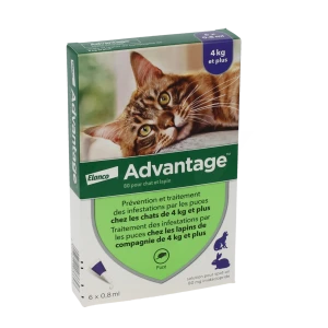 Advantage 80 Pour Chat Et Lapin, Solution Pour Spot-on