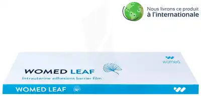 Womed Leaf Taille M  Ref. El-adhme à MARIGNANE