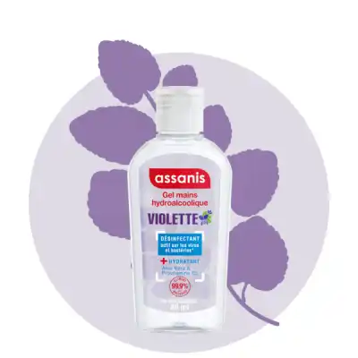 Assanis Pocket Gel Hydroalcoolique Violette Fl/80ml
