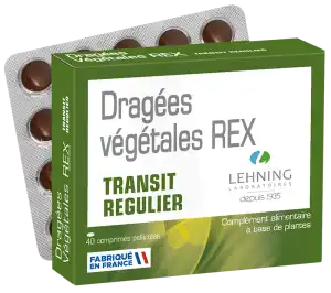 Lehning Dragées Végétales Rex Comprimés B/40 à Mimizan