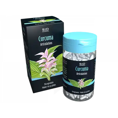 Sid Nutrition Phytoclassics Curcuma Gélules B/90 à AUCAMVILLE