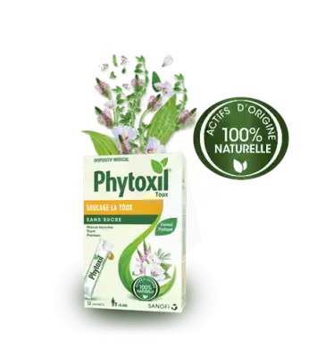 Phytoxil Toux Sans Sucre Sirop Adulte Enfant +6 Ans 12 Sachets/10ml à Annecy