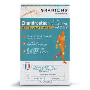 Chondrosteo+ Collagène Actif Gélules B/30 à LA VALETTE DU VAR