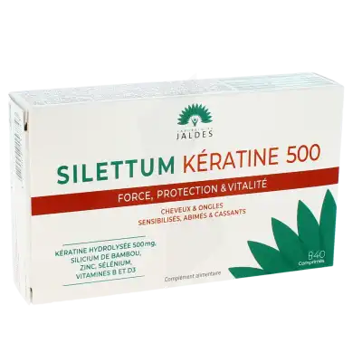 Silettum Keratine 500 Cpr B/40 à Obernai