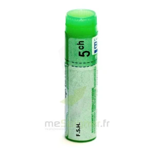 Boiron Fsh 5ch Globules Dose De 1g