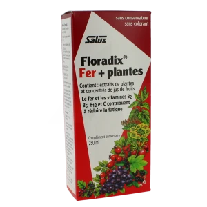 Floradix Fer+plantes Boisson Vigueur énergie 250ml
