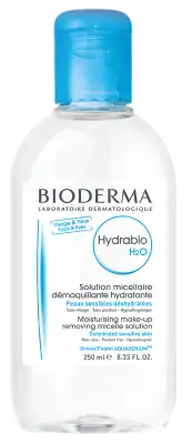 Hydrabio H2o Solution Micellaire Démaquillante Hydratante Fl/250ml à SAINT-MEDARD-EN-JALLES