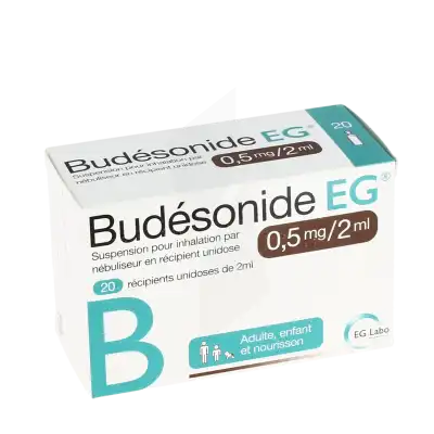 Budesonide Eg 0,5 Mg/2 Ml, Suspension Pour Inhalation Par Nébuliseur En Récipient Unidose à TOULOUSE