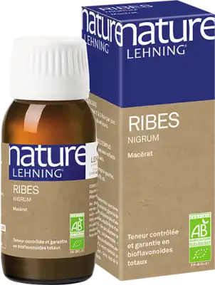 Lehning Nature Ribes Nigrum AB Macérat Glycériné Fl compte gouttes/60ml