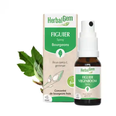 Herbalgem Figuier Bio Spray Fl/15ml à Bassens